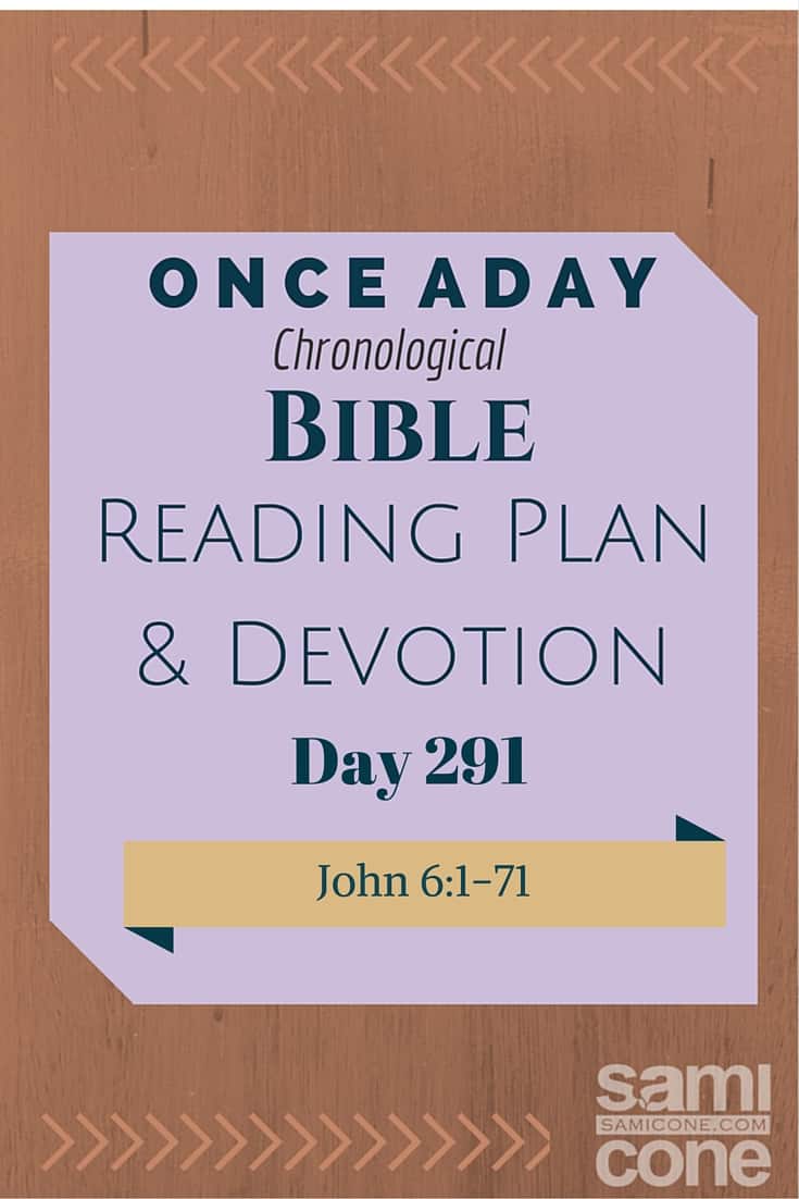 Once A Day Bible Reading Plan & Devotion: Day 291