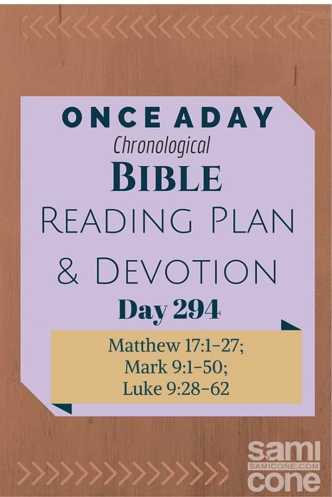 Once A Day Bible Reading Plan & Devotion Day 294