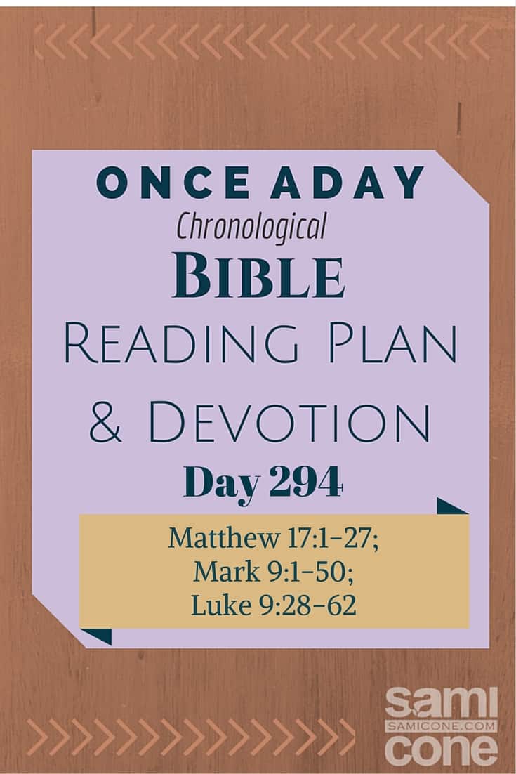 Once A Day Bible Reading Plan & Devotion: Day 294