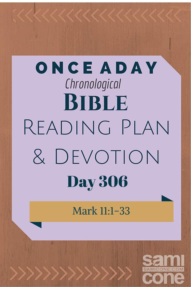 Once A Day Bible Reading Plan & Devotion: Day 306