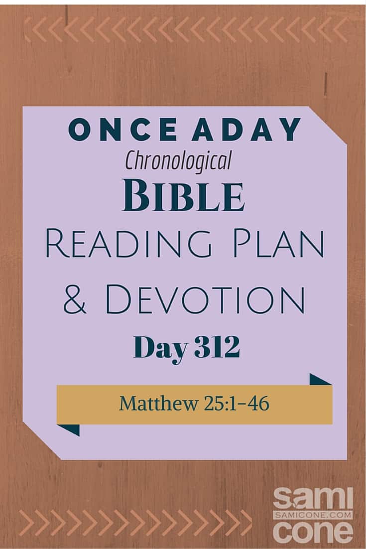 Once A Day Bible Reading Plan & Devotion: Day 312