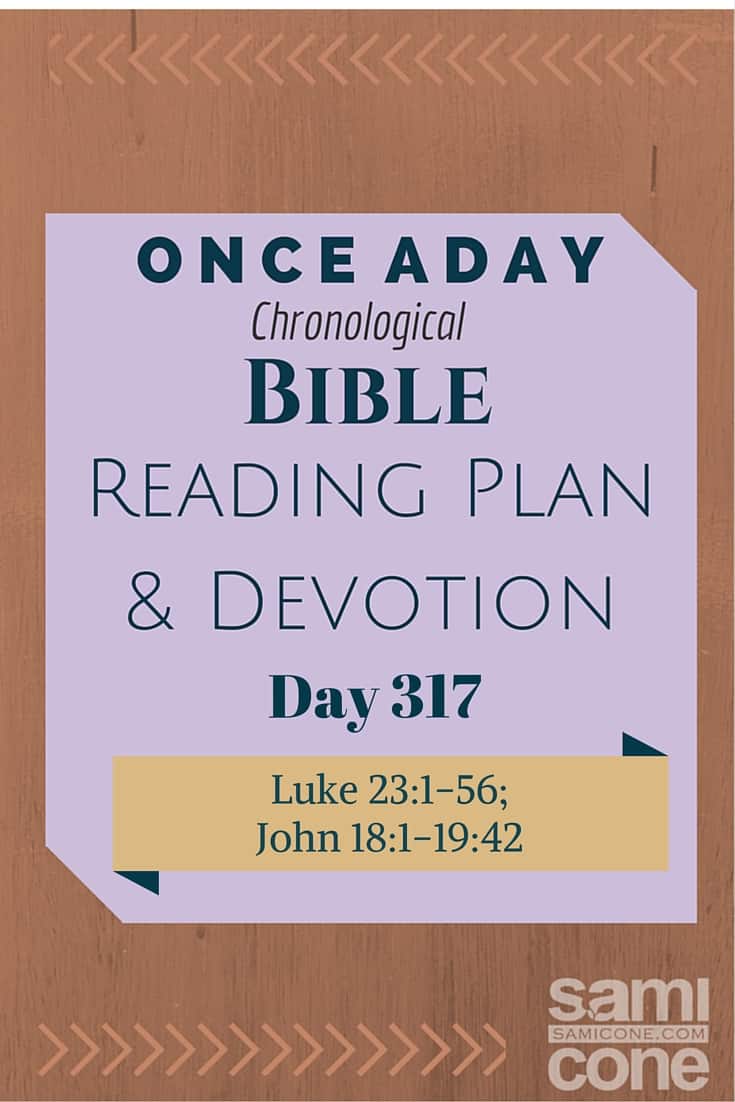 Once A Day Bible Reading Plan & Devotion: Day 317