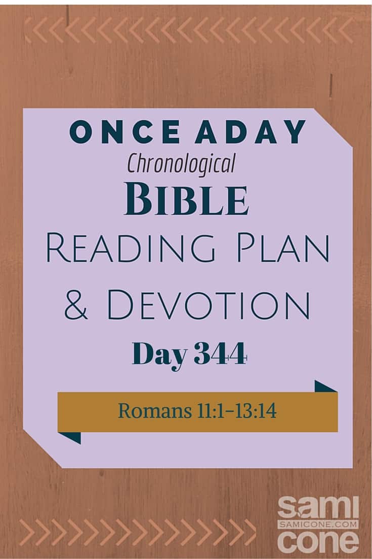 Once A Day Bible Reading Plan & Devotion: Day 344