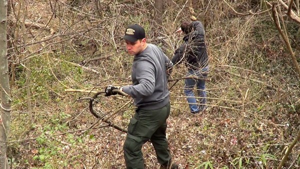 Family Volunteer Opportunity: Nashville Zoo Weed Wrangle