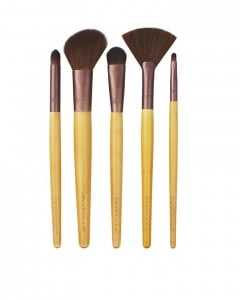 EcoTools Makeup Brush Set Giveaway Day to Night Set