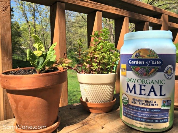 garden of life raw organic meal smoothie recipe