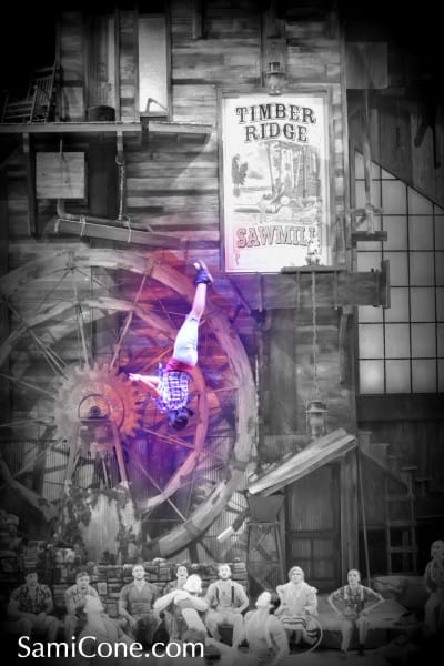 lumberjack-adventure-upside-down