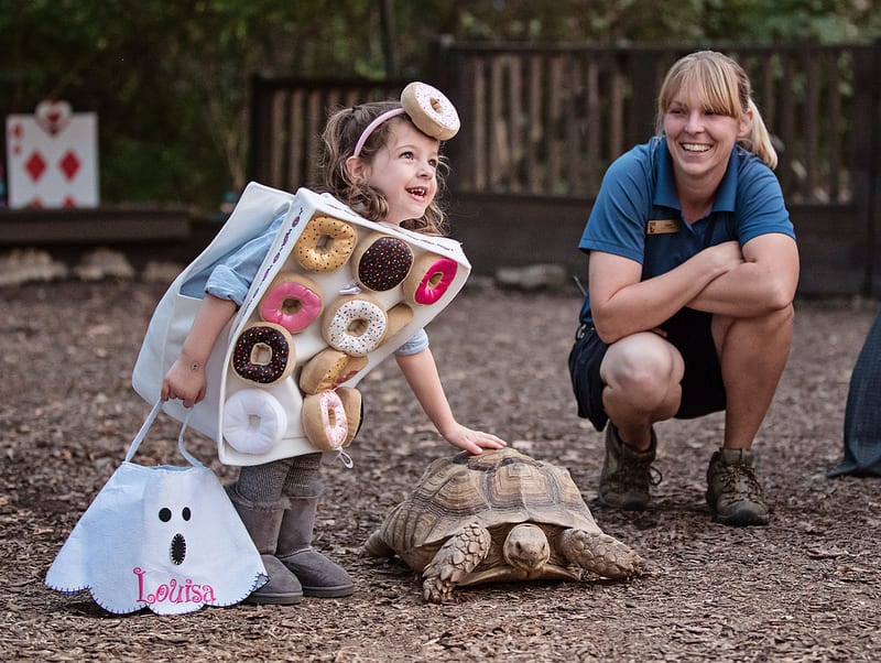 The Best Places to Trick or Treat in Nashville