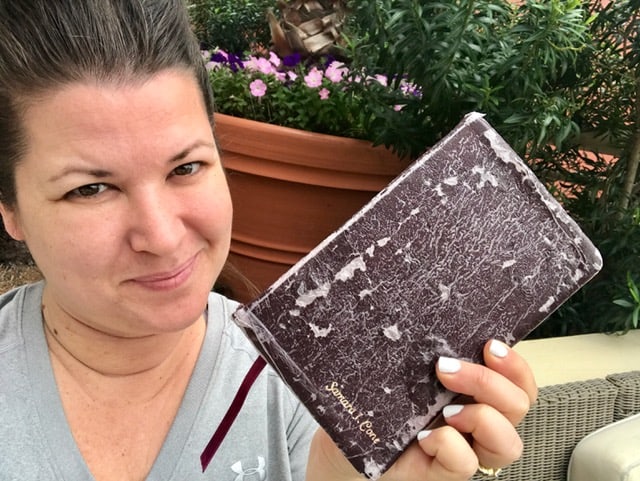 The Daily Dash: February 13, 2017 {#LLYMICruise Day 1 & Vow Renewal}