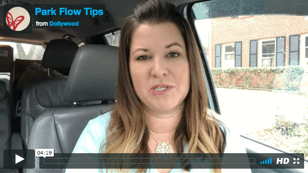 Dollywood Park Flow Tips