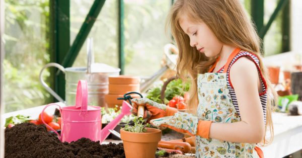 summer devotionals 40 days