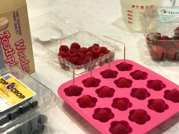 frozen-summer-fruit-cubes-dairy-free