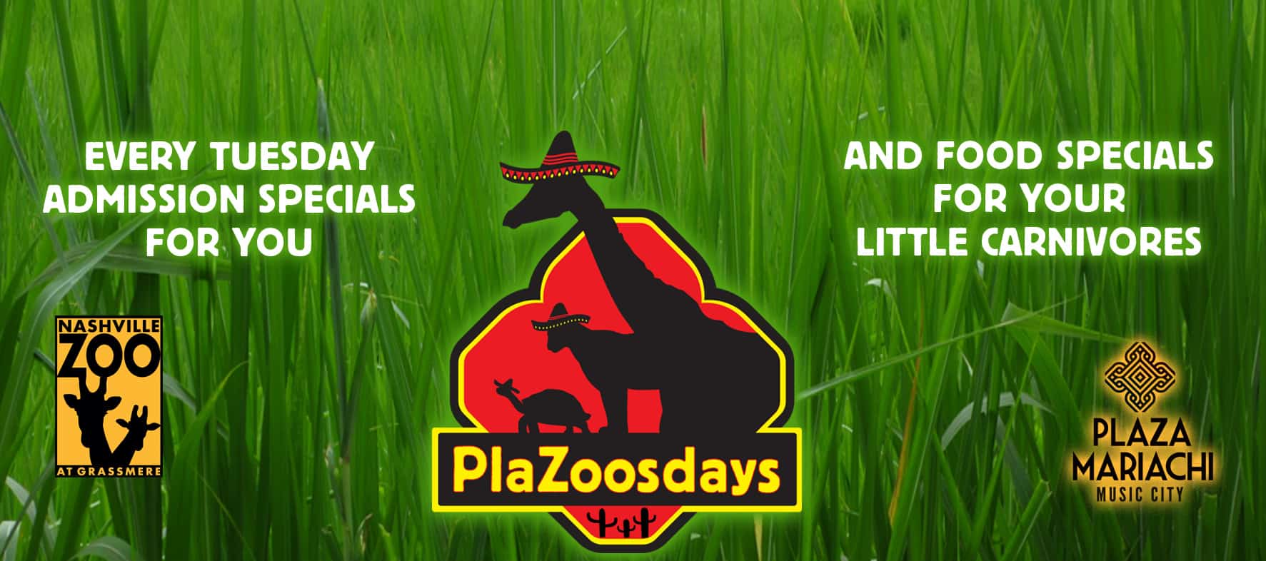 Plaza Mariachi’s PlaZoosdays