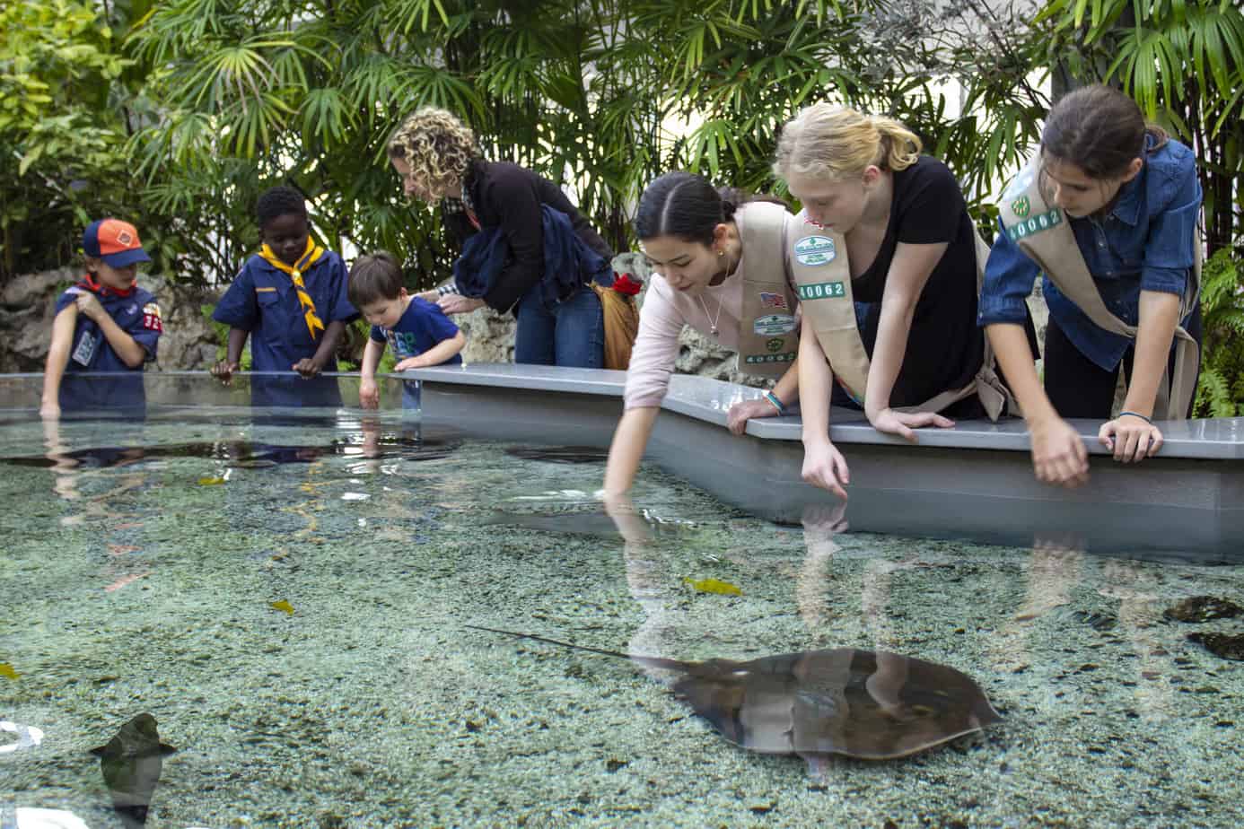 Half Price Tennessee Aquarium Tickets in September