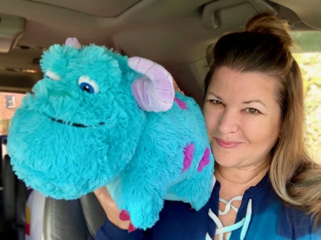 Why Adults Should Buy Pillow Pets {The Daily Dash: December 19, 2018}