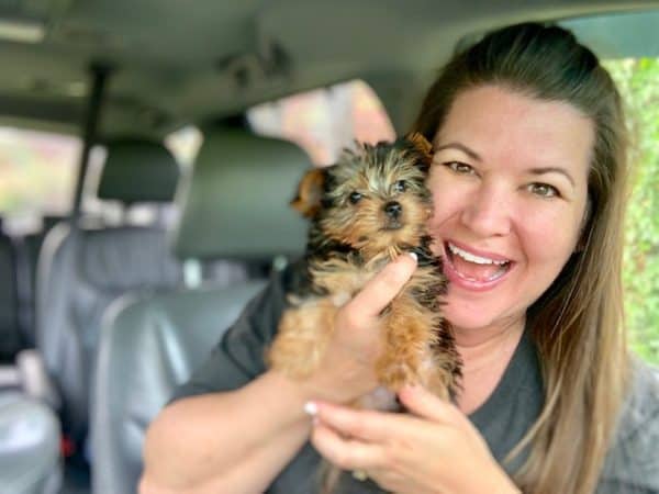 A New Member of our Family {The Daily Dash: April 11, 2019}  