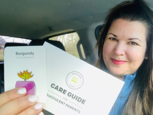 Succulent Studios Review {The Daily Dash: January 15, 2020}