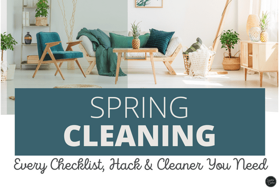 SPRING CLEANING Checklist, Hack, Cleaner